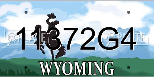 11372G4 Wyoming License Plate
