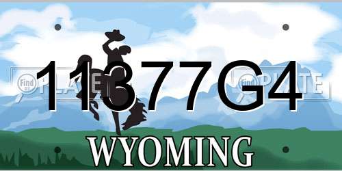 11377G4 Wyoming License Plate