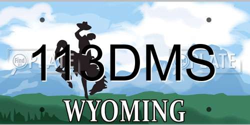 113DMS Wyoming License Plate