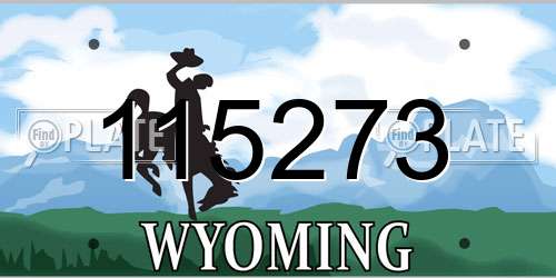 115273 Wyoming License Plate