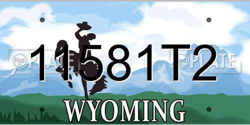 11581T2 Wyoming License Plate