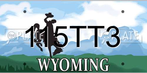 115TT3 Wyoming License Plate