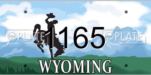 1165 Wyoming License Plate