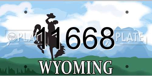 11668 Wyoming License Plate