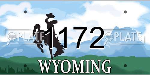 1172 Wyoming License Plate