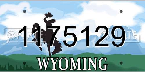 1175129 Wyoming License Plate