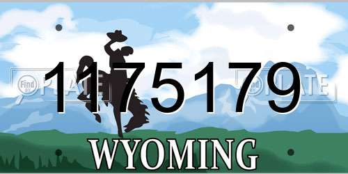 1175179 Wyoming License Plate
