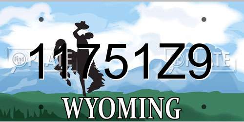 11751Z9 Wyoming License Plate