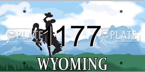 1177 Wyoming License Plate