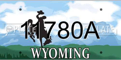 11780A Wyoming License Plate