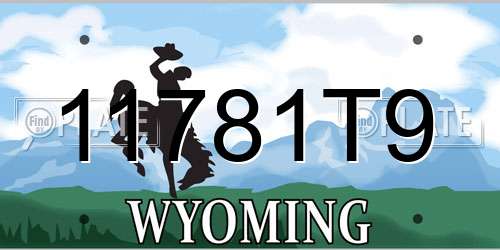 11781T9 Wyoming License Plate