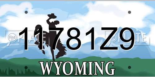 11781Z9 Wyoming License Plate