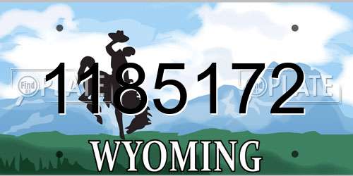 1185172 Wyoming License Plate