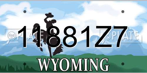 11881Z7 Wyoming License Plate