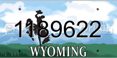 1189622 Wyoming License Plate