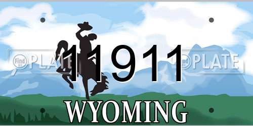 11911 Wyoming License Plate