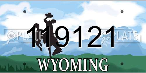 119121 Wyoming License Plate