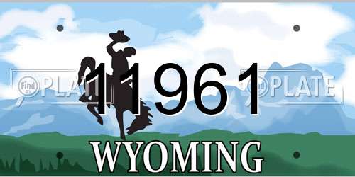 11961 Wyoming License Plate