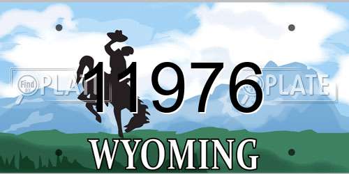 11976 Wyoming License Plate