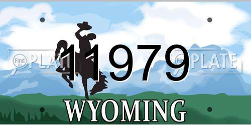11979 Wyoming License Plate