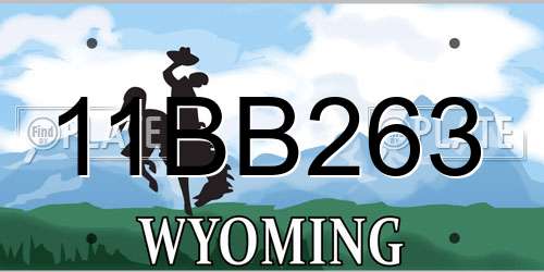 11BB263 Wyoming License Plate