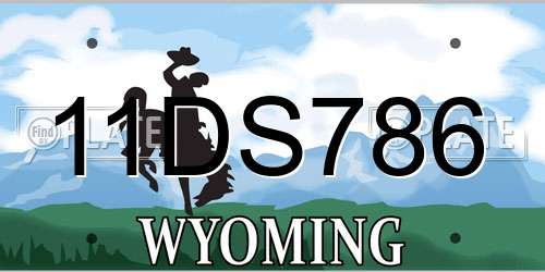 11DS786 Wyoming License Plate