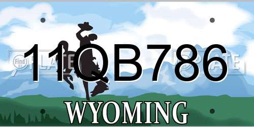 11QB786 Wyoming License Plate