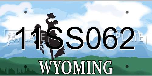 11SS062 Wyoming License Plate