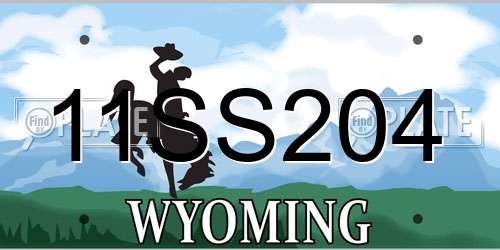 11SS204 Wyoming License Plate