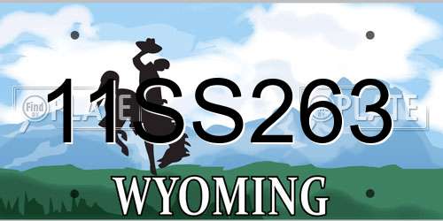 11SS263 Wyoming License Plate