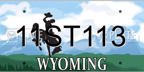 11ST113 Wyoming License Plate