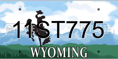 11ST775 Wyoming License Plate