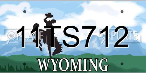 11TS712 Wyoming License Plate