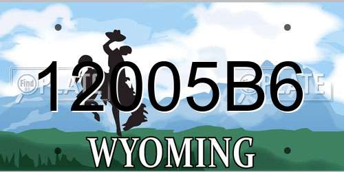12005B6 Wyoming License Plate