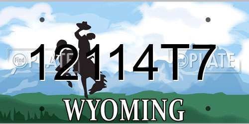 12114T7 Wyoming License Plate