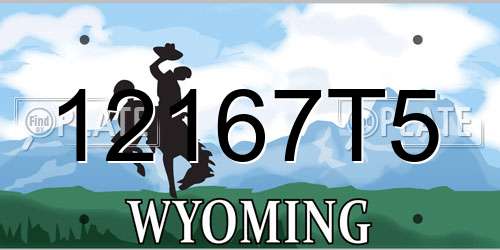 12167T5 Wyoming License Plate