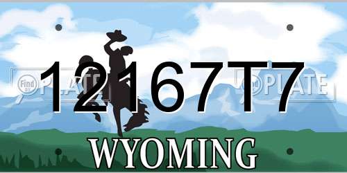 12167T7 Wyoming License Plate