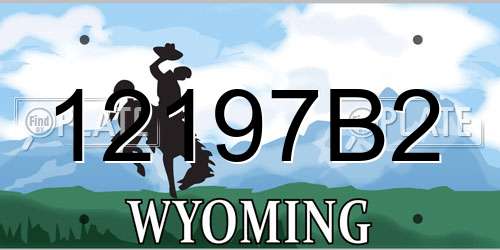 12197B2 Wyoming License Plate