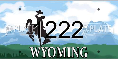 1222 Wyoming License Plate