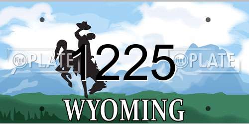1225 Wyoming License Plate