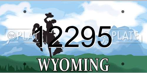 12295 Wyoming License Plate