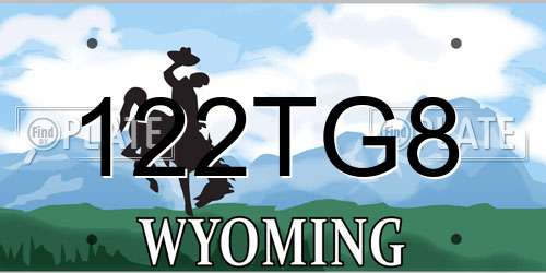 122TG8 Wyoming License Plate