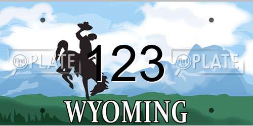 123 Wyoming License Plate