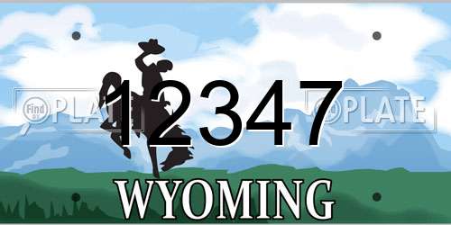 12347 Wyoming License Plate