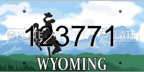 123771 Wyoming License Plate