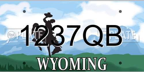 1237QB Wyoming License Plate