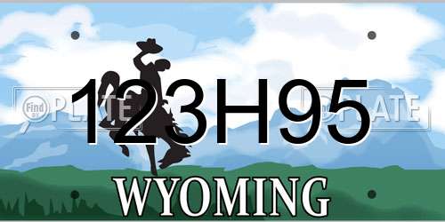 123H95 Wyoming License Plate