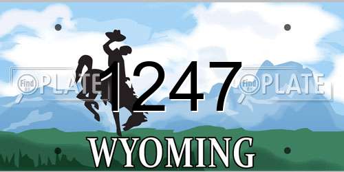 1247 Wyoming License Plate