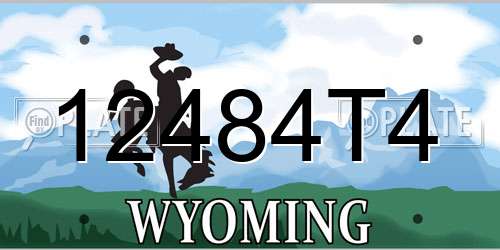 12484T4 Wyoming License Plate