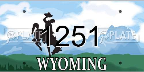 1251 Wyoming License Plate